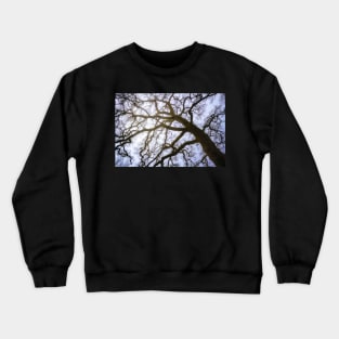 Leaning Tree Skeleton Crewneck Sweatshirt